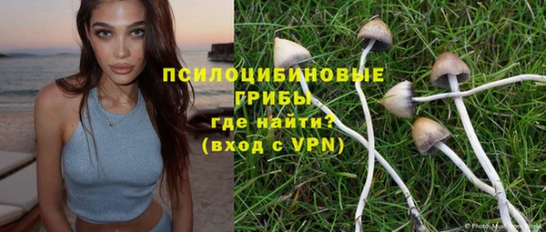 прущая мука Ладушкин