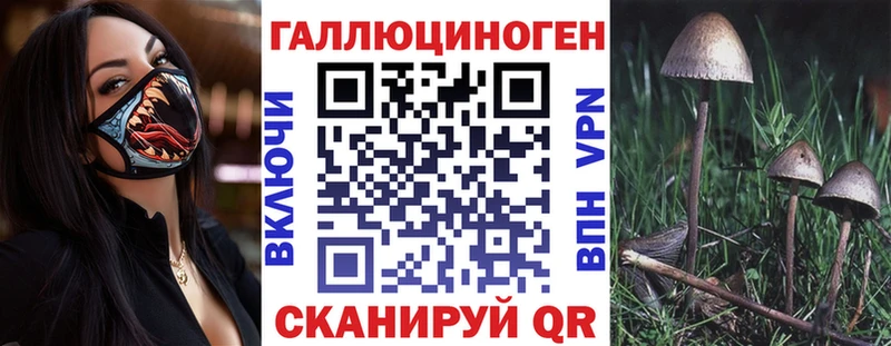 Купить где  Челябинск  Псилоцибиновые грибы мицелий 
